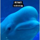 롯데월드 아쿠아리움 할인정보 롯데타워