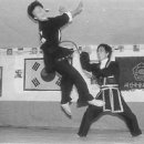 합기도 성무관 이미지