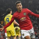 그린우드 이미지