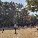 모험어린이공원 이미지