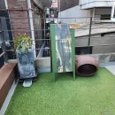 플로허 | 한남동 카페, 숨겨진 복합문화카페 '드플로허'