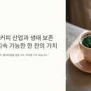 아마존커피