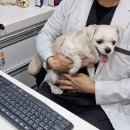 오케이동물병원 이미지