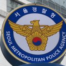 법인에스케이