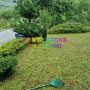 조은조경 - 영암군 정자등길 4 | 조은조경