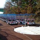 대천리조트 이미지