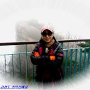 1박2일 이미지