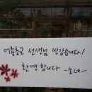 어룡초교 이미지