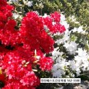 닥터차한의원 이미지