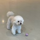 멍화만사성 이미지