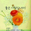 하모니카(실용) 이미지