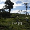 파코엔지니어링 이미지