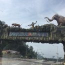 산야초오토캠핑장 이미지