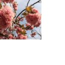 생생푸주간