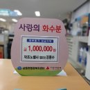 노벨사 뉴스경남