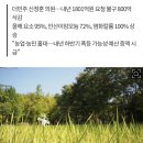 비룟값 치솟는데…윤석열 정부, 예산 지원 '반토막' 이미지