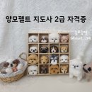 보듬펫 이미지