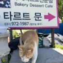 화정가든 - 논산시 | 행주산성 맛집 | 부모님 모시고 가기 좋은 <화정가든 보리굴비> 내돈내산 후기