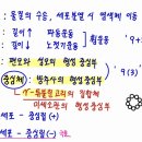 부동섬모 이미지