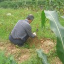 학창농장 이미지