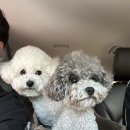 멍데이즈 이미지