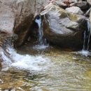 자연속의흙집 이미지