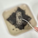 고소한청년 | 고소한 흑임자인절미 후기 청년떡집 명례헌