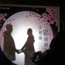 위시문(wish moon)