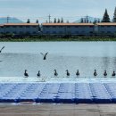 강변장어 이미지