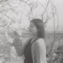 로이스커피 - 과천시 과천대로7나길 48 | 로이스커피