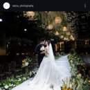 네이처코드 | 더베뉴지 네이처홀 서사포토그라피 본식스냅 계약 후기 (짝꿍코드O, 추가페이백 혜택까지!)