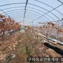 선원면-7 이미지