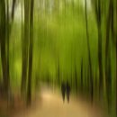 초록바람 이미지