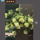 테우안경 | 변하지않는건다이아몬드하고널사랑하는나밖에는없다고