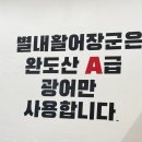 활어장군 이미지