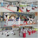 K플러스 태권도장 이미지