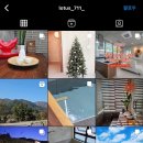 로터스711 이미지