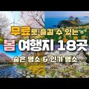 무료로 즐길 수 있는 봄여행지 18곳! 숨은 명소와 인기 명소 둘 다 보고 가세요. 매화 축제부터 산수유, 벚꽃축제까지 이미지