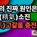 기(氣)가 막히는 생활방식이 노화의 진짜 원인 통(通)해야 아프지 않다-백작가TV 이미지