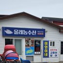 올레농수산 네이버블로그