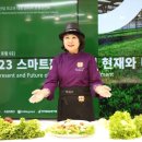 메타팜