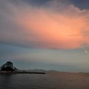 강진산들농원 이미지