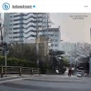 운전자 과실도 있다 vs 보험 대인접수 요구는 과하다 이미지