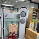 송중문화정보도서관 | 강북구도서관 송중문화정보도서관 핫한 신간 전집 대여도 돼용