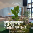 우드펜교실 | 춘천 사농동 카페 추천 | 힐링되는 식물카페 카페포레스트