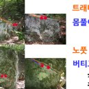 드래곤밸리 이미지