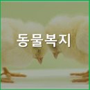 삼권농장 이미지