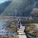 강노을펜션 앞 이미지