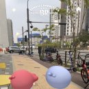 배스킨라빈스운정초롱꽃