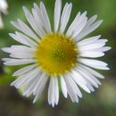 중앙행정사사무소 이미지